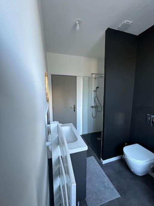 Appartement Spacieux En Centre Ville วอนดูม ภายนอก รูปภาพ